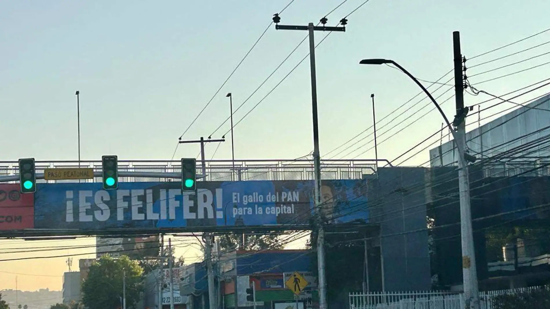 Publicidad Felifer